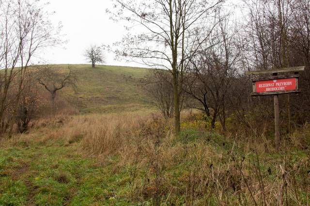 Rezerwat przyrody Brodogóry