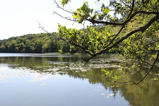 Jezioro Gardno (Grodno)