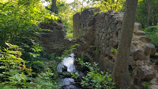 Ruiny młyna wodnego