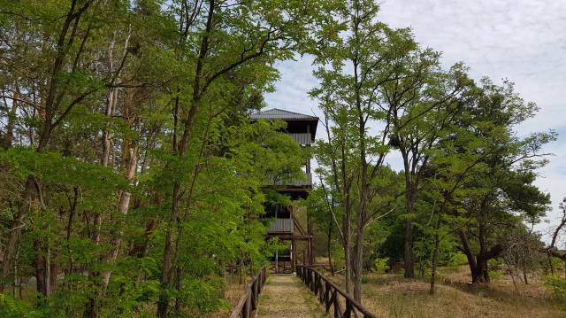 Wieża widokowa w Porzeczu