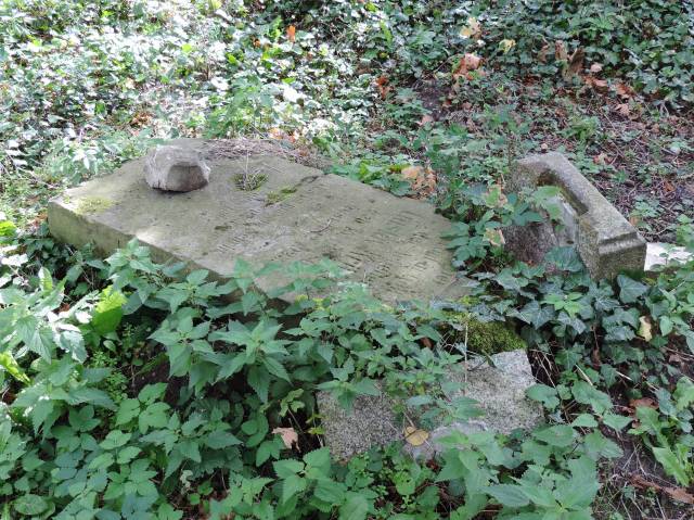 Ruiny kościoła w Pargowie