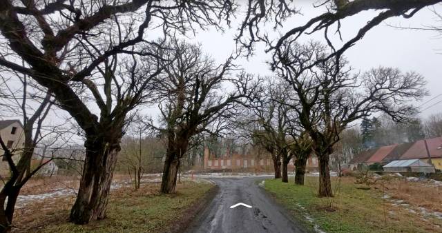 Ruiny pałacu w Łoźnicy