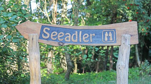 Aussichtskanzel Seeadler