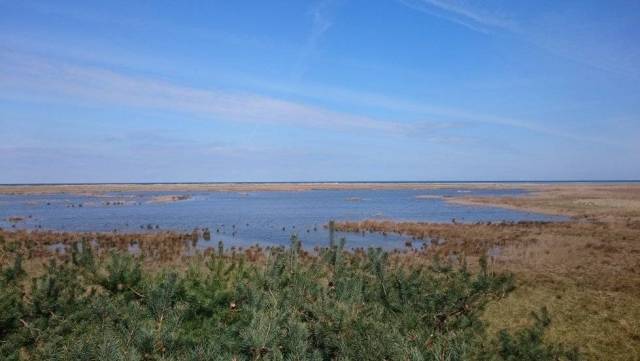 Aussichtsplattform Fukareksee