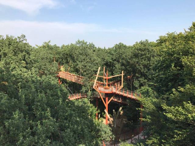 Baumkronenpfad Ivenacker Eichen