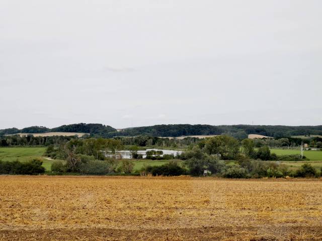 Widok na renaturalizowane torfowisko w pobliżu Dahmer Kanal