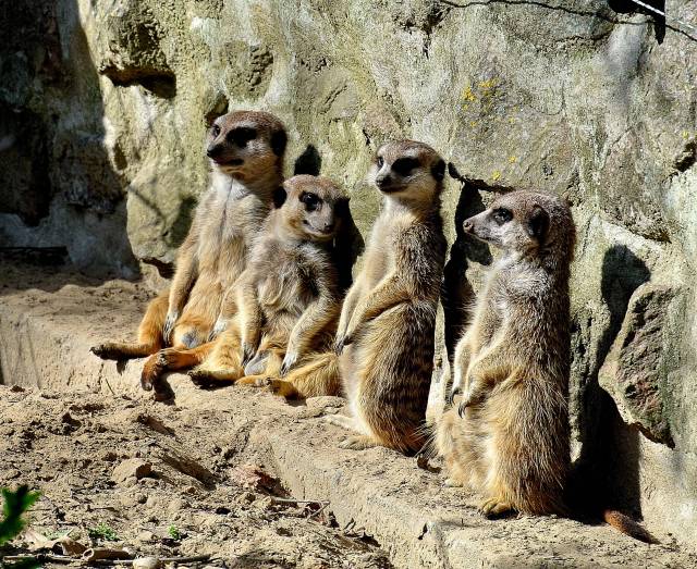 Rodzinny park zwierząt Wolgast