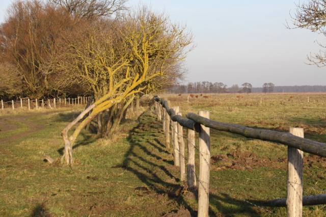 Park Natury Zalewu Szczecińskiego