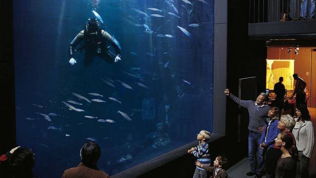 MÜRITZEUM - Centrum doświadczeń przyrodniczych w Waren (Müritz)