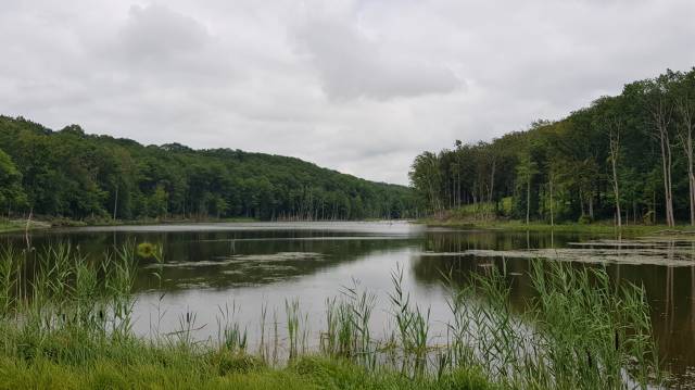 Tychowskie Bieszczady