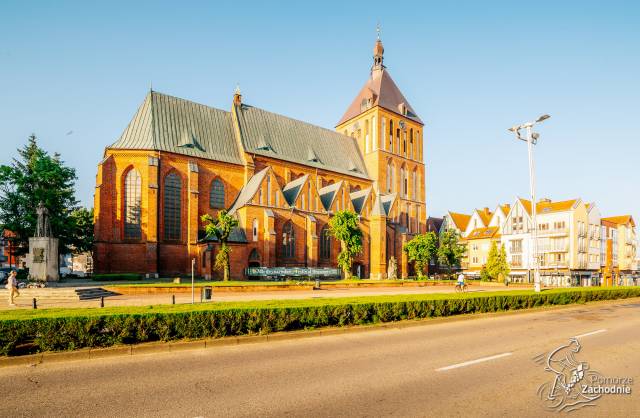 Katedra pw. Niepokalanego Poczęcia NMP