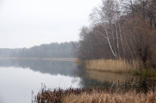 Rezerwat przyrody Jezioro Jasne