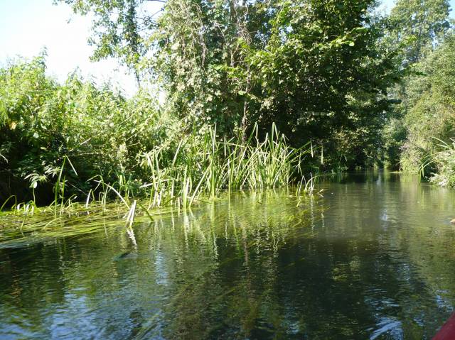 Drawieński Park Narodowy