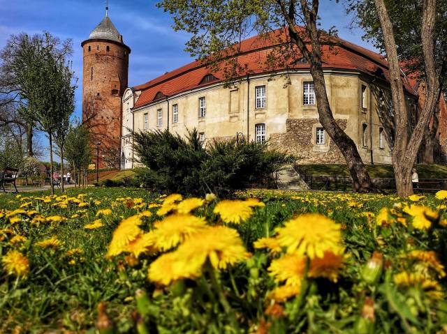 Centrum Informacji Turystycznej w Świdwinie