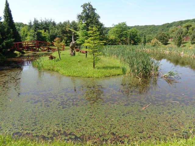 Der Dendrologische Garten