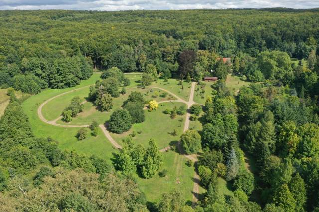 Der Dendrologische Garten in Przelewice (Ogród Dendrologiczny w Przelewicach)