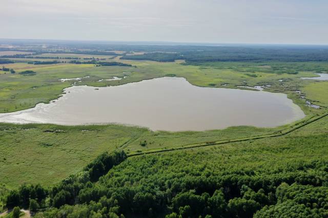 Das Naturschutzgebiet Świdwie 