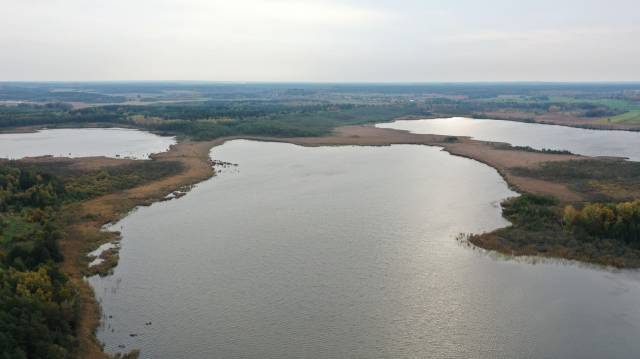 Rezerwat przyrody „Jezioro Lubiatowskie im. prof. Wojciecha Górskiego”