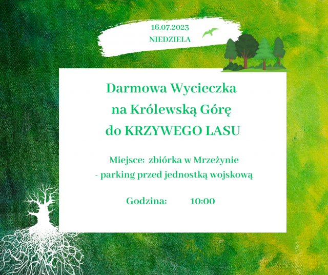 Wycieczka na Królewską Górę do KRZYWEGO LASU
