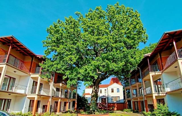 Rezydencja 5 Dębów