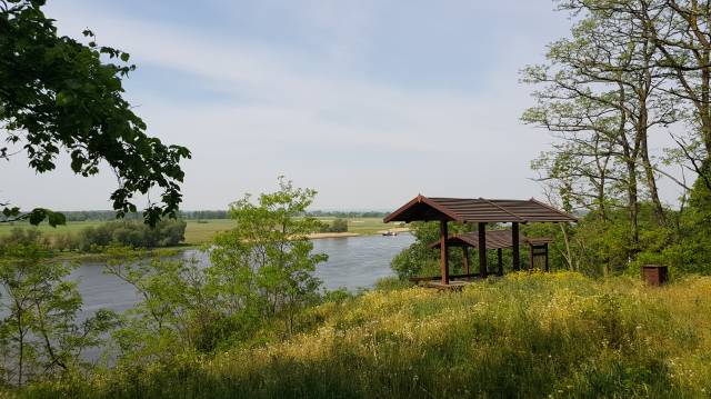 Aussichtspunkt der Fährüberfahrt in Gozdowice