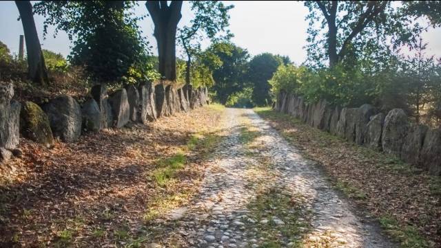 Kamienna droga w Pławnie