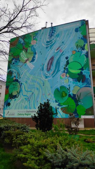 Vorpommersches Wandgemälde in Wałcz