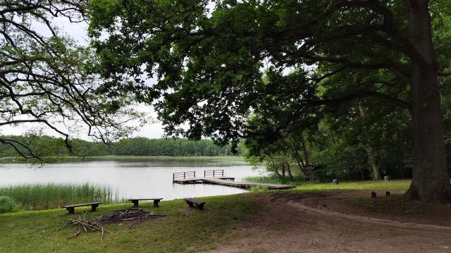 Rastplatz am Koprzywno-See