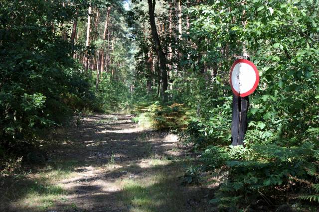 Torfowiska Uznamskie