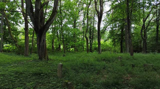 Cmentarz Ewangelicki w Jankowie