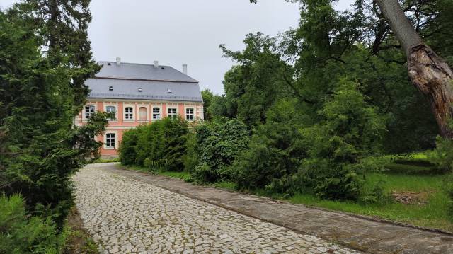 Dwór i park dworski w Buku