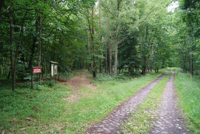 Mszar nad jeziorem Piaski