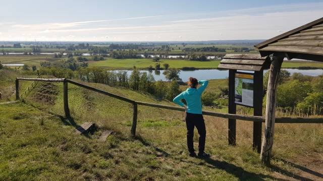 Aussichtspunkt auf die Kostrzynskie-Auen