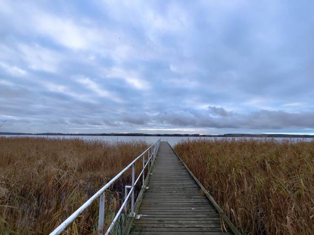 Brücke in Wierzchląd
