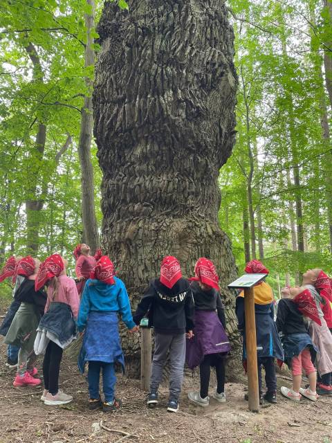 Ścieżka edukacyjna "Czapla Góra" w Manowie