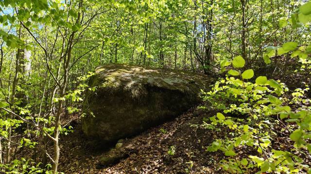 Tempelburg Findling bei Sikory