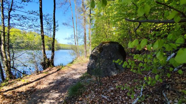 Głaz narzutowy nad jez. Dołgie Wielkie
