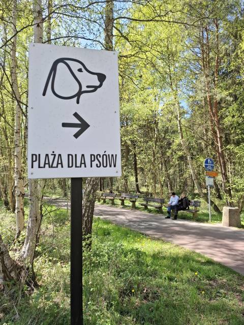 Plaża dla psów