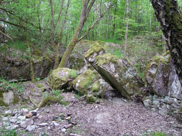 Rezerwat Strzaliny koło Tuczna