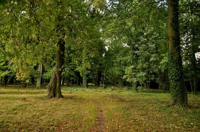 Zespół parkowo-pałacowy