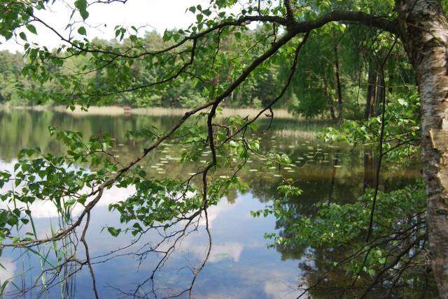 Jezioro Bukowo Duże k. Mielęcina, gm. Człopa