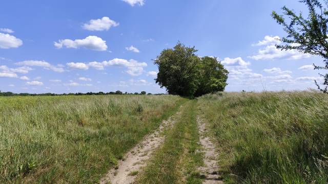 UMLEITUNG - Slawecin - Nosowo