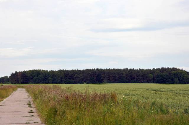 Mszar koło Siemidarżna