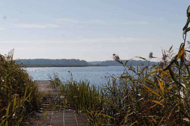 Jezioro Wełtyńskie