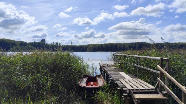 Teren rekreacyjny w parku w Linówku