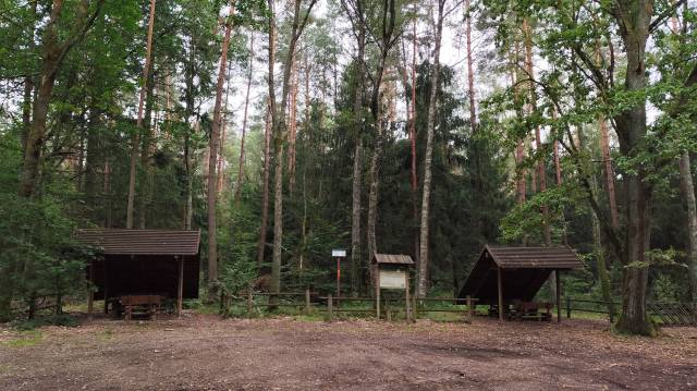 Waldparkplatz und Rastplatz