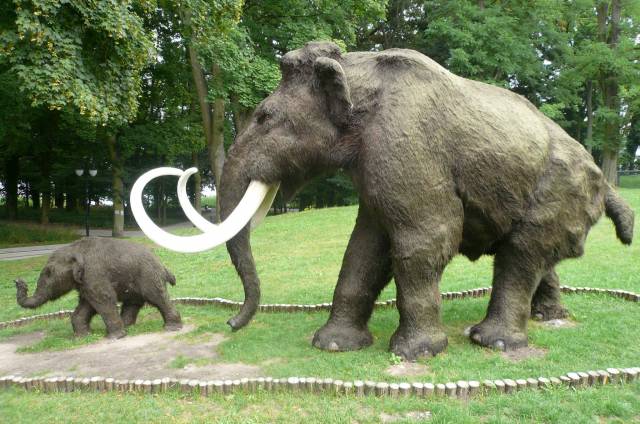 Aleja Gwiazd Plejstocenu