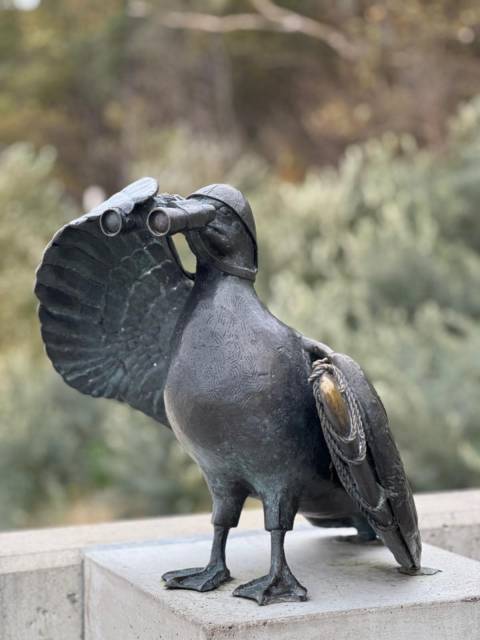 Mewa Marian Rettungsschwimmer