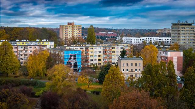 Wandbild „Kot Gacek” (Katze Gacek)