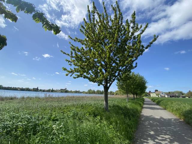 Uckermärkischer Radrundweg